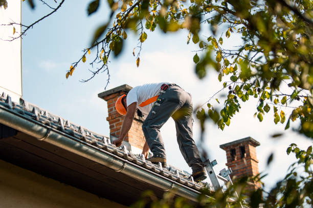 Best Flat Roof Repair Services  in Stony Point, NC